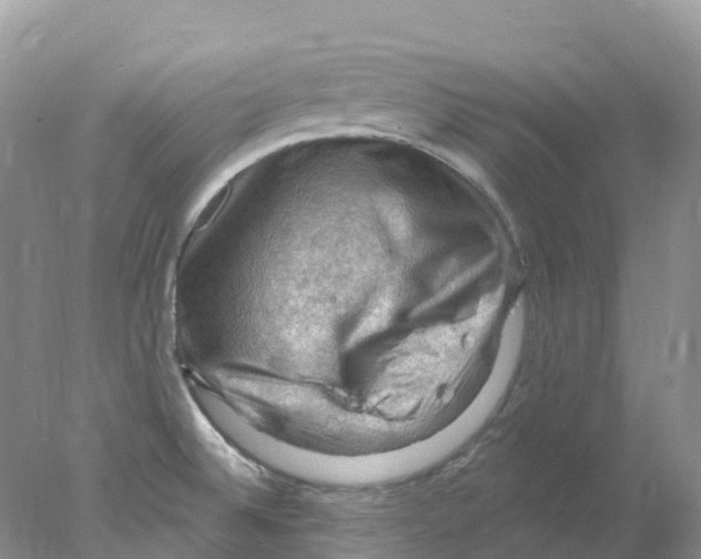 X0000078031524200611251542