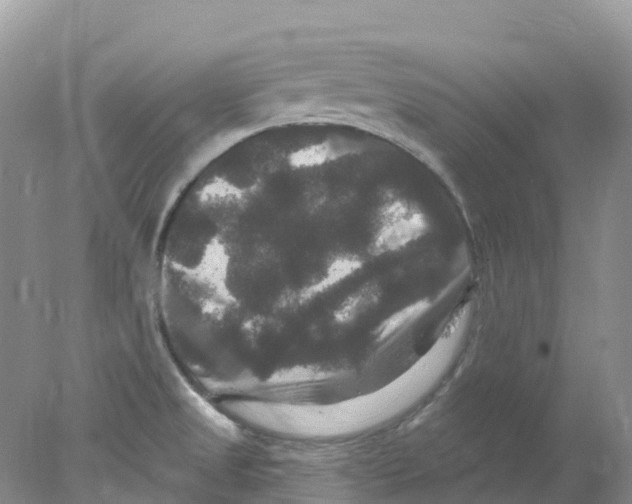 X0000078031525200611251542