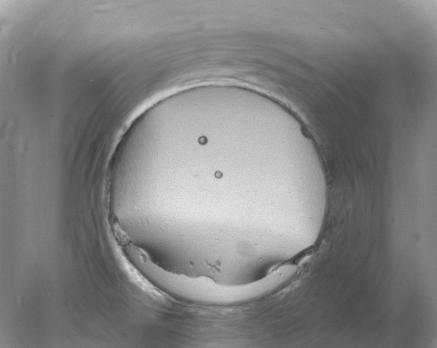 X0000078031526200611251542