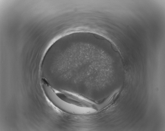 X0000078031527200611251542