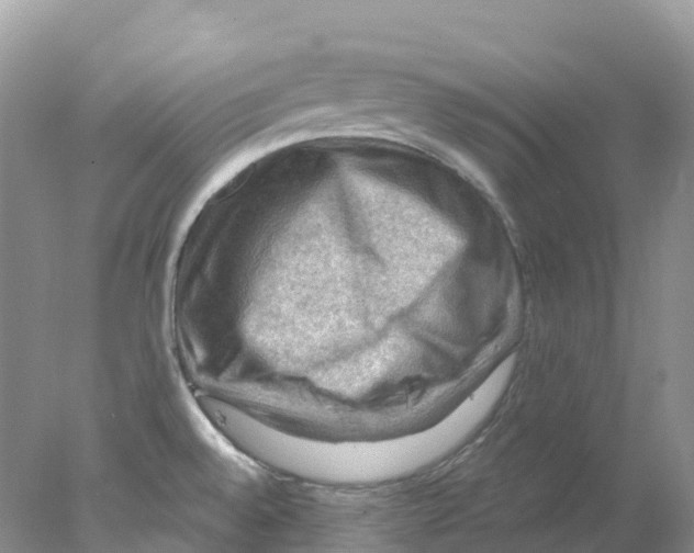 X0000078031528200611251542