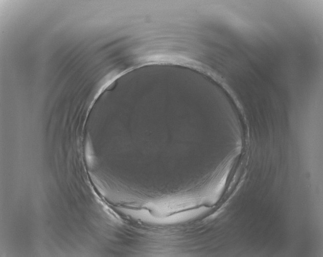 X0000078031529200611251542