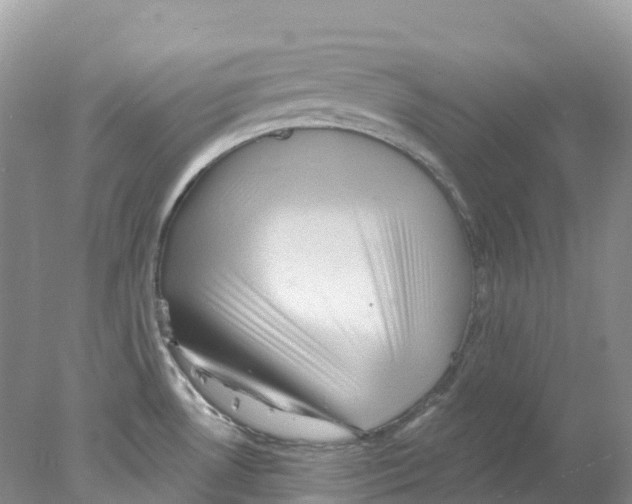 X0000078031530200611251542