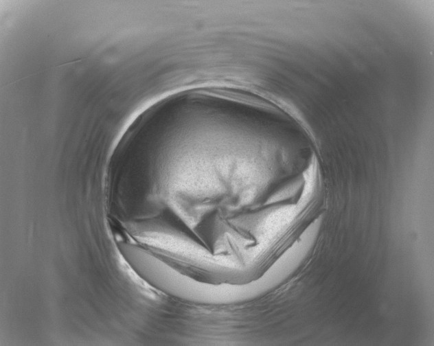 X0000078031532200611251542