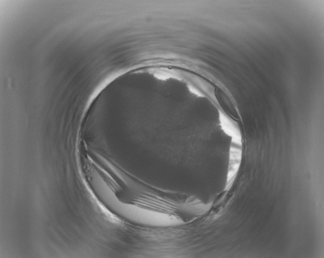 X0000078031533200611251542