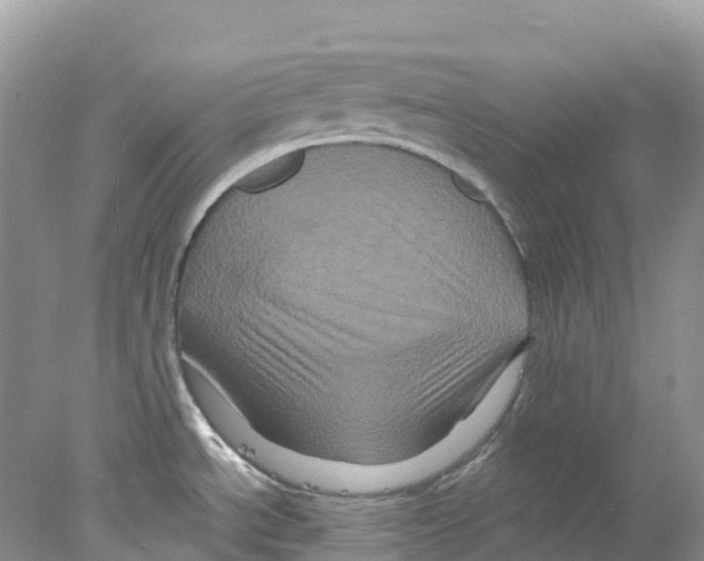 X0000078031534200611251542