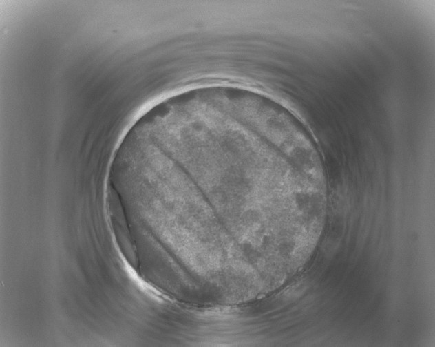 X0000078031535200611251542