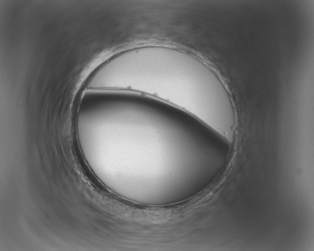 X0000078230008200611030905