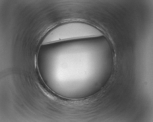 X0000078230013200611030905