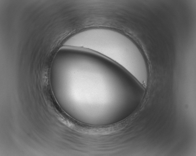 X0000078230017200611030905