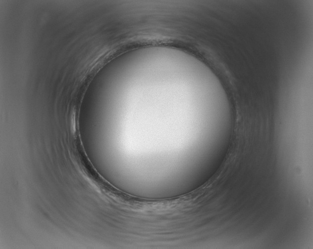 X0000078230021200611030905