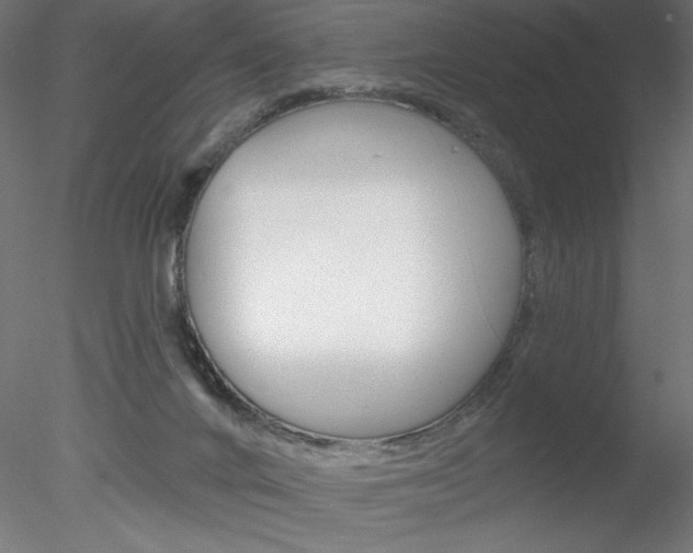 X0000078230024200611030905