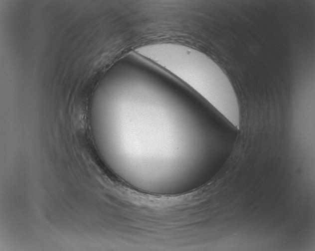 X0000078230039200611030905