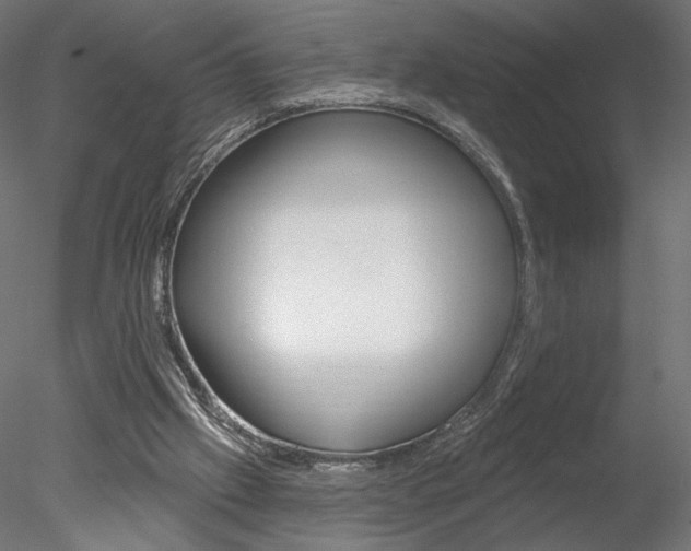 X0000078230057200611030904