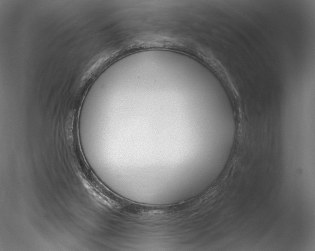 X0000078230058200611030904