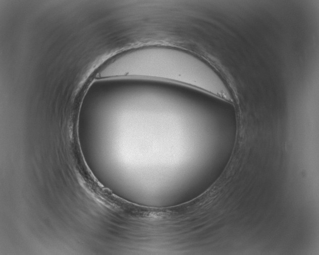 X0000078230060200611030904