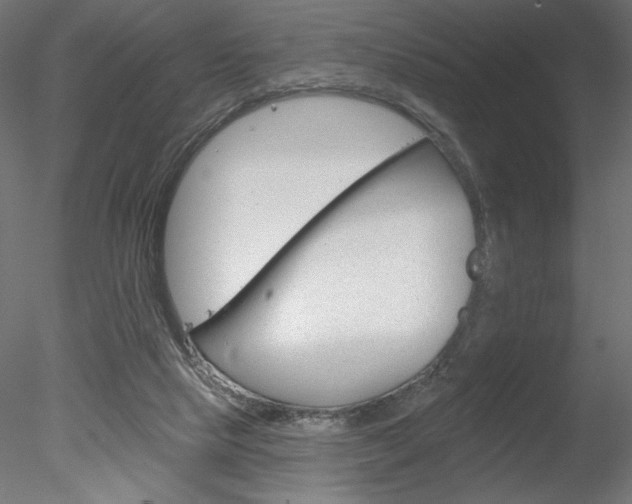 X0000078230065200611030904