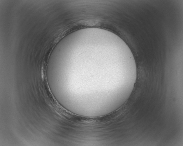 X0000078230069200611030904