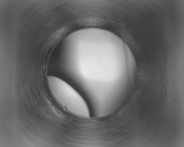 X0000078230070200611030904