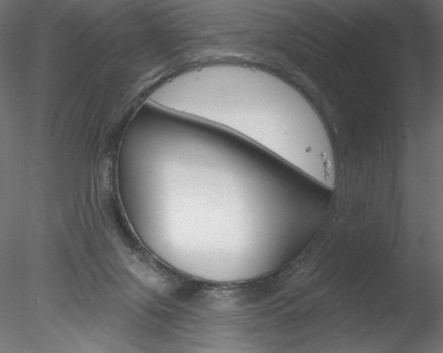 X0000078230071200611030904