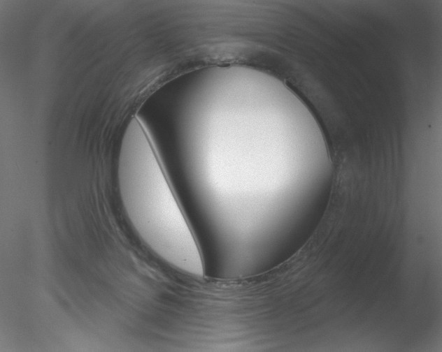 X0000078230076200611030904