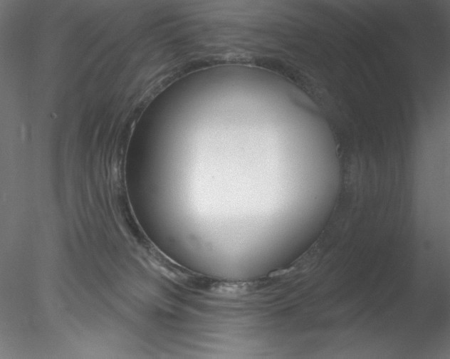 X0000078230084200611030904