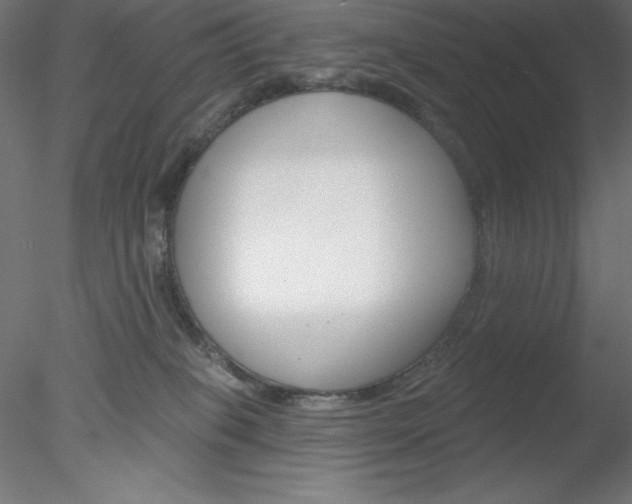 X0000078230085200611030904