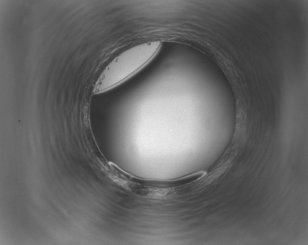 X0000078230096200611030904