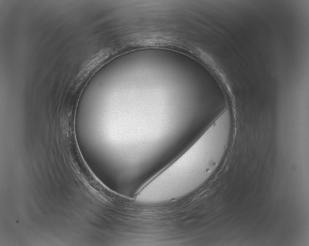 X0000078230105200611030904