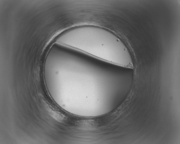 X0000078230108200611030903