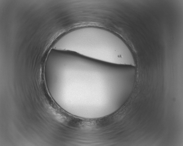 X0000078230110200611030903