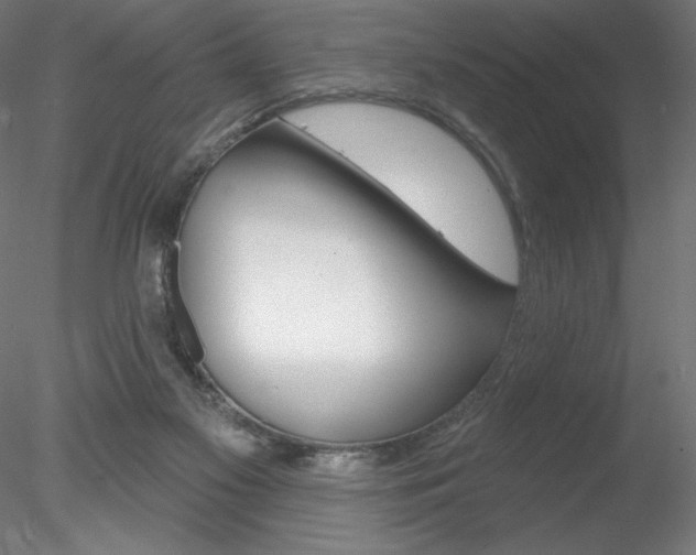 X0000078230117200611030903