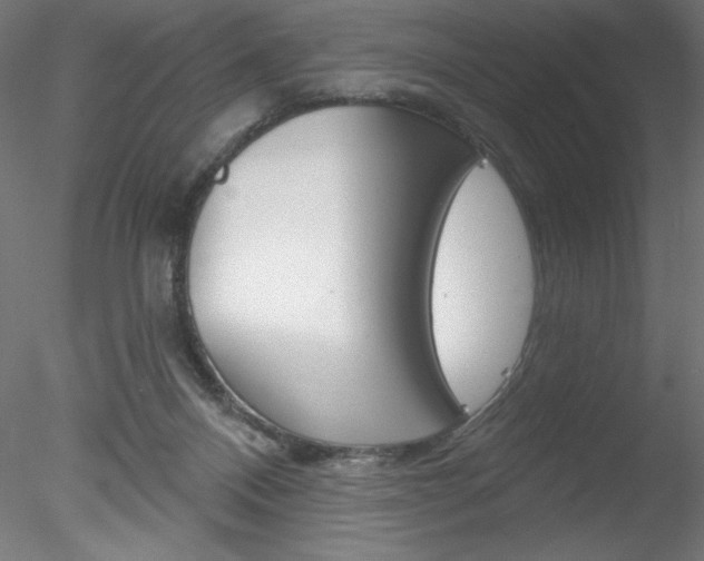 X0000078230120200611030903