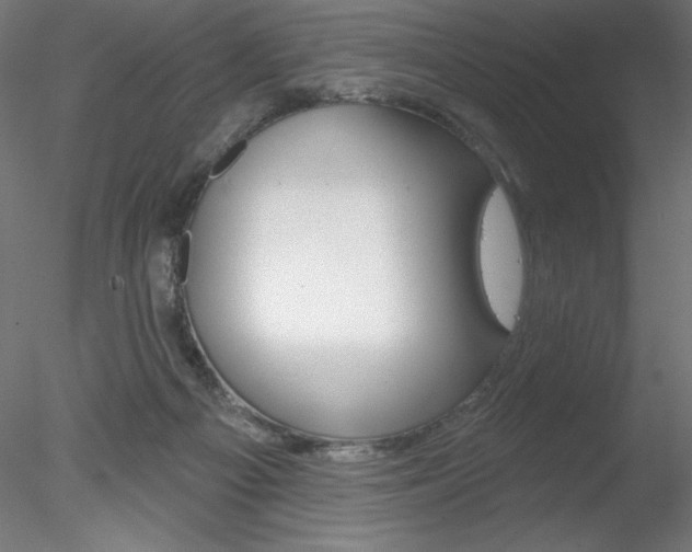 X0000078230121200611030903
