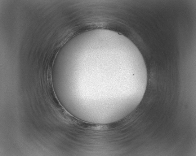X0000078230122200611030903