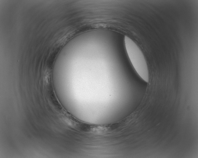 X0000078230125200611030903