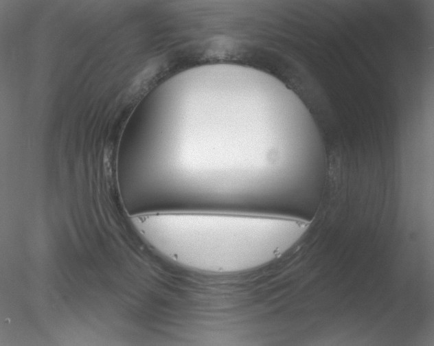 X0000078230127200611030903
