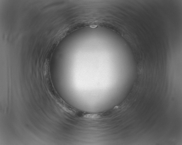 X0000078230133200611030903
