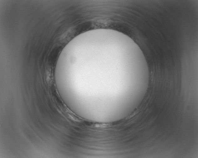 X0000078230134200611030903
