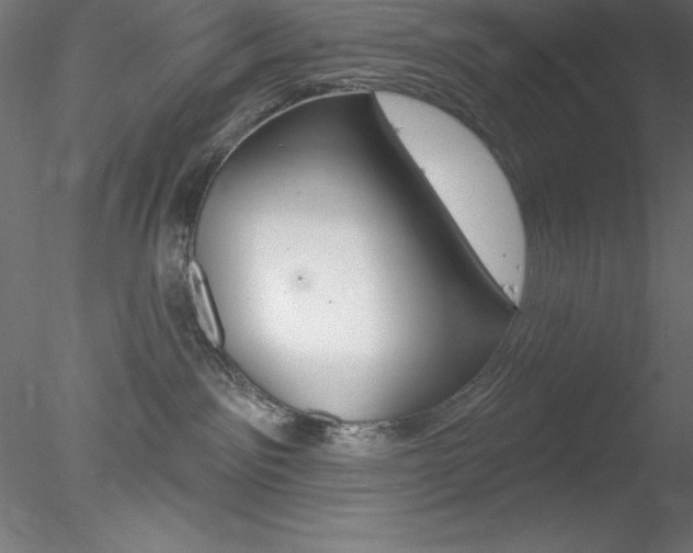X0000078230141200611030903