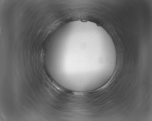 X0000078230144200611030903