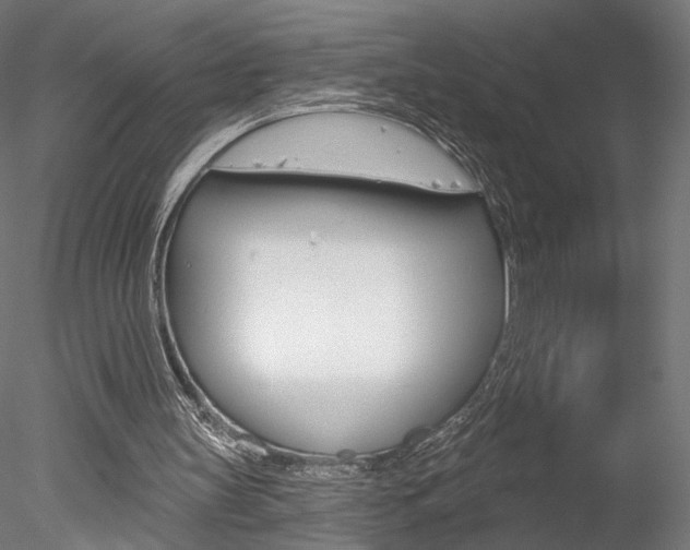 X0000078230147200611030902