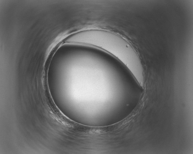 X0000078230152200611030902