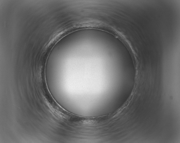 X0000078230154200611030902