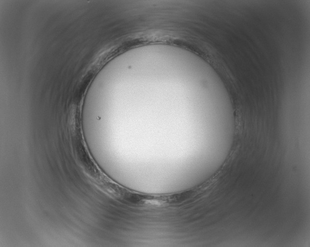 X0000078230167200611030902