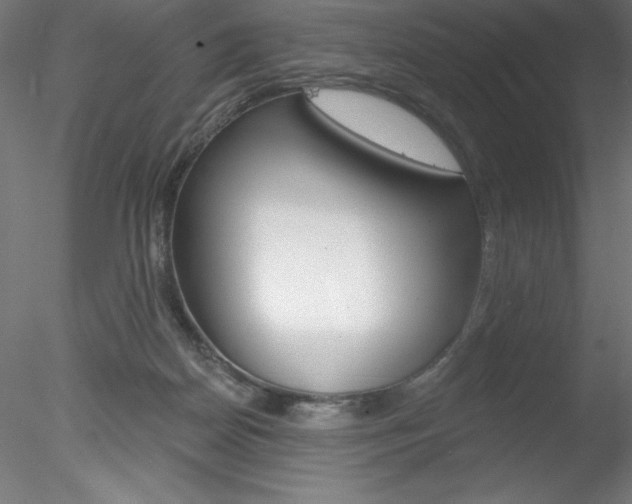 X0000078230170200611030903