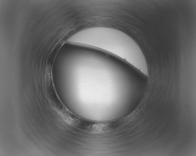 X0000078230172200611030903