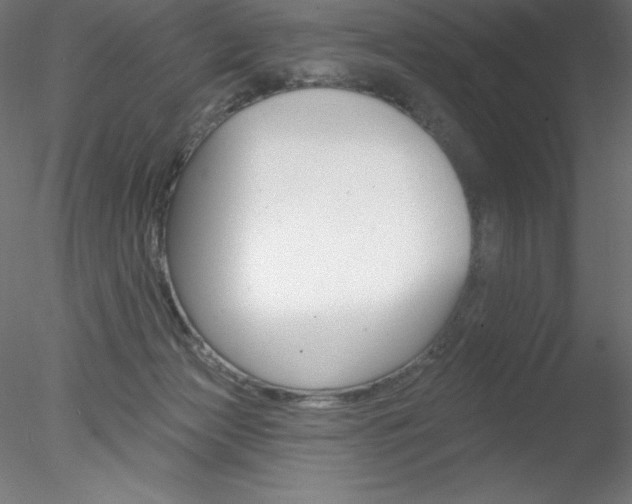 X0000078230173200611030903