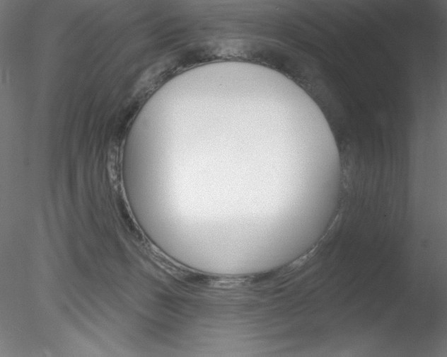 X0000078230175200611030903