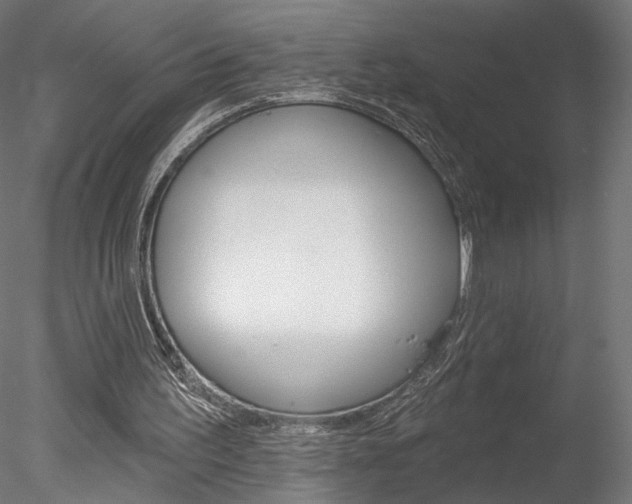 X0000078230195200611030902